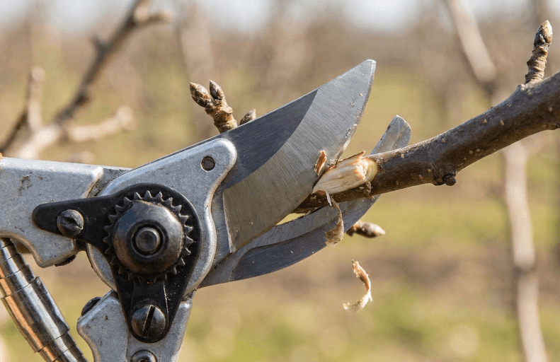 z�hradn� no�nice