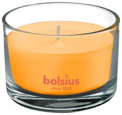 Svieka Bolsius Jar True Scents 63/90 mm, vonn, mango, v skle