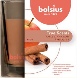 Svieka Bolsius Jar True Scents 95/95 mm, vonn, korica/jablko, v skle