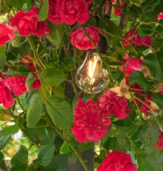 �iarovka Strend Pro, kempingov�, LED, 100 lm, 400 mAh, USB-C nab�janie, svietidlo, sellbox