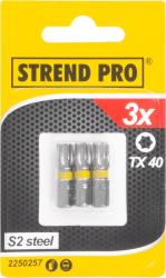 Bit Strend Pro Torx, TX 40, bal. 3 ks