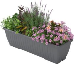 Kvetin Strend Pro, farba siv, 60x19,6x17 cm