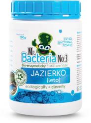 Aktivtor Mr.Bacteria No.3, do jazierka, 500 g