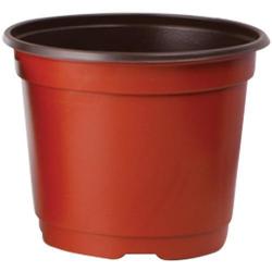 Kvetin Strend Pro Herrison LJ5002, na priesady, 100 mm