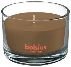 Svieka Bolsius Jar True Scents 63/90 mm, vonn, korica/jablko, v skle