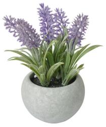 Levandula sukulent, MagicHome,17 cm, repnk- cement, umel