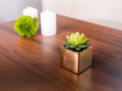 Sukulent MagicHome SA3905, 15 cm, �repn�k- keramika, zlat�, umel�