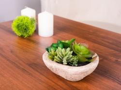 Sukulent MagicHome SA3929, Mix, 9 cm, repnk- kame, umel