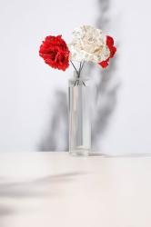 Obrázok_(2) Obrázok_(2)